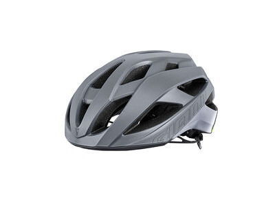 GIANT Rev Comp Helmet Silver