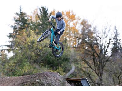 GIANT STP 20 FS Teal click to zoom image