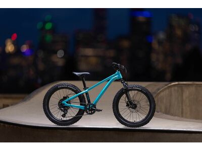 GIANT STP 20 FS Teal click to zoom image