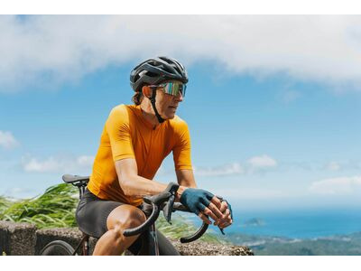 GIANT Aurea Grey click to zoom image