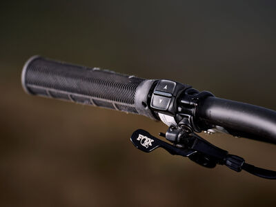 GIANT RideControl Ergo 4 click to zoom image
