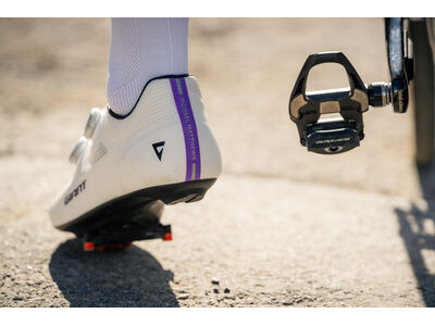 GIANT Surge Pro click to zoom image