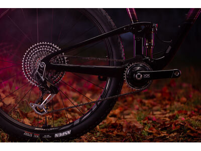 LIV Pique Advanced 29 0 click to zoom image