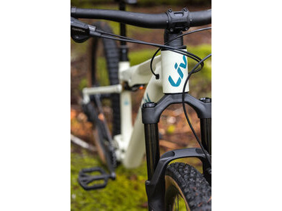 LIV Embolden Pale Moss click to zoom image