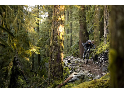 LIV Embolden Pale Moss click to zoom image