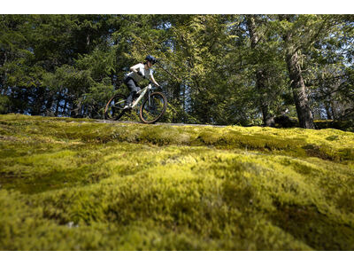 LIV Embolden Pale Moss click to zoom image