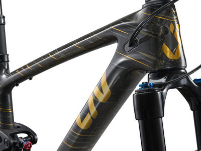 LIV Pique Advanced 29 1 Raw Carbon click to zoom image