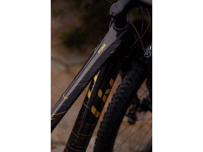 LIV Pique Advanced 29 1 Raw Carbon click to zoom image