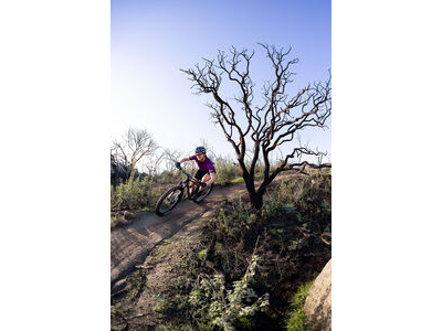 LIV Pique Advanced 29 1 Raw Carbon click to zoom image